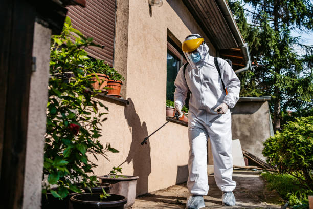 Best Termite Control Services  in Munsey Park, NY