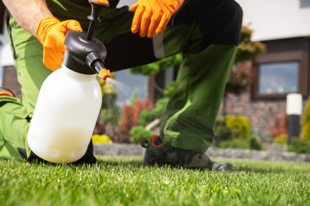 Best Pest Removal Services  in Munsey Park, NY
