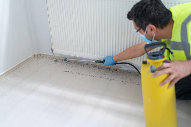 Best Pest Prevention Services  in Munsey Park, NY